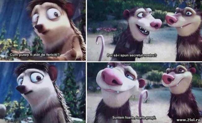 Cum pot fi atât de fericiți? | poze haioase