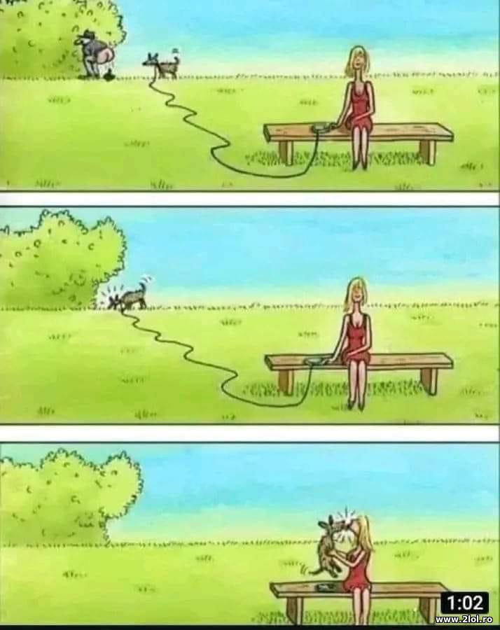 Ai grija cand iti saruti cainele | poze haioase