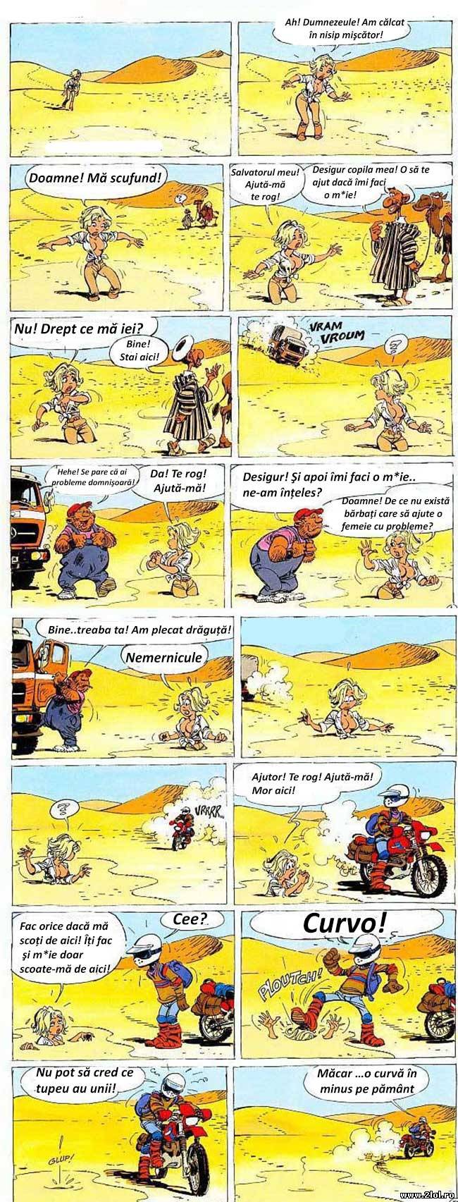 Blondele iau decizii proaste | poze haioase