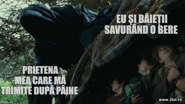 Cand prietena vrea sa te trimita dupa paine | poze haioase