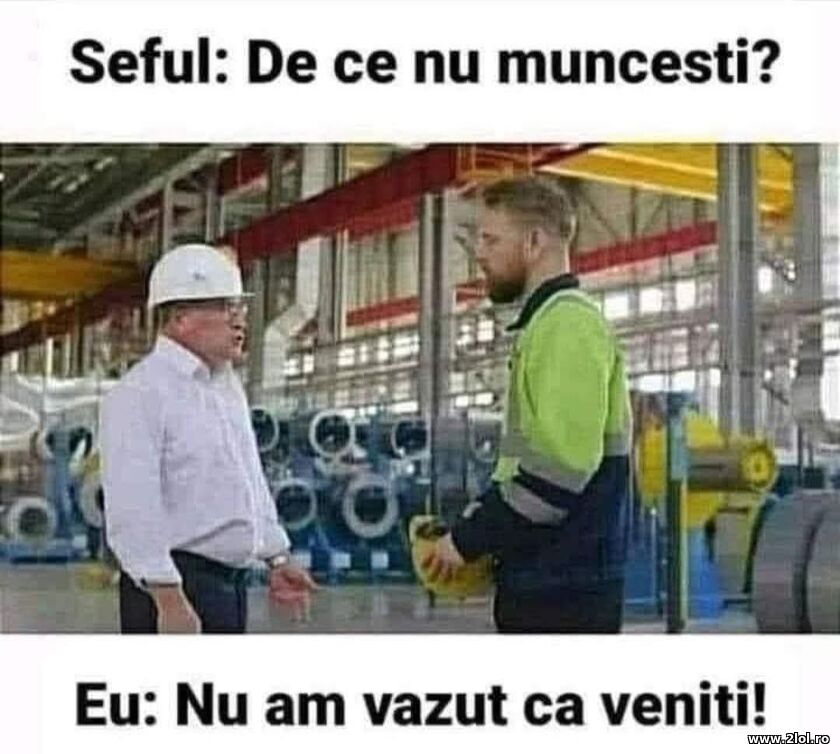 De ce nu muncesti? | poze haioase