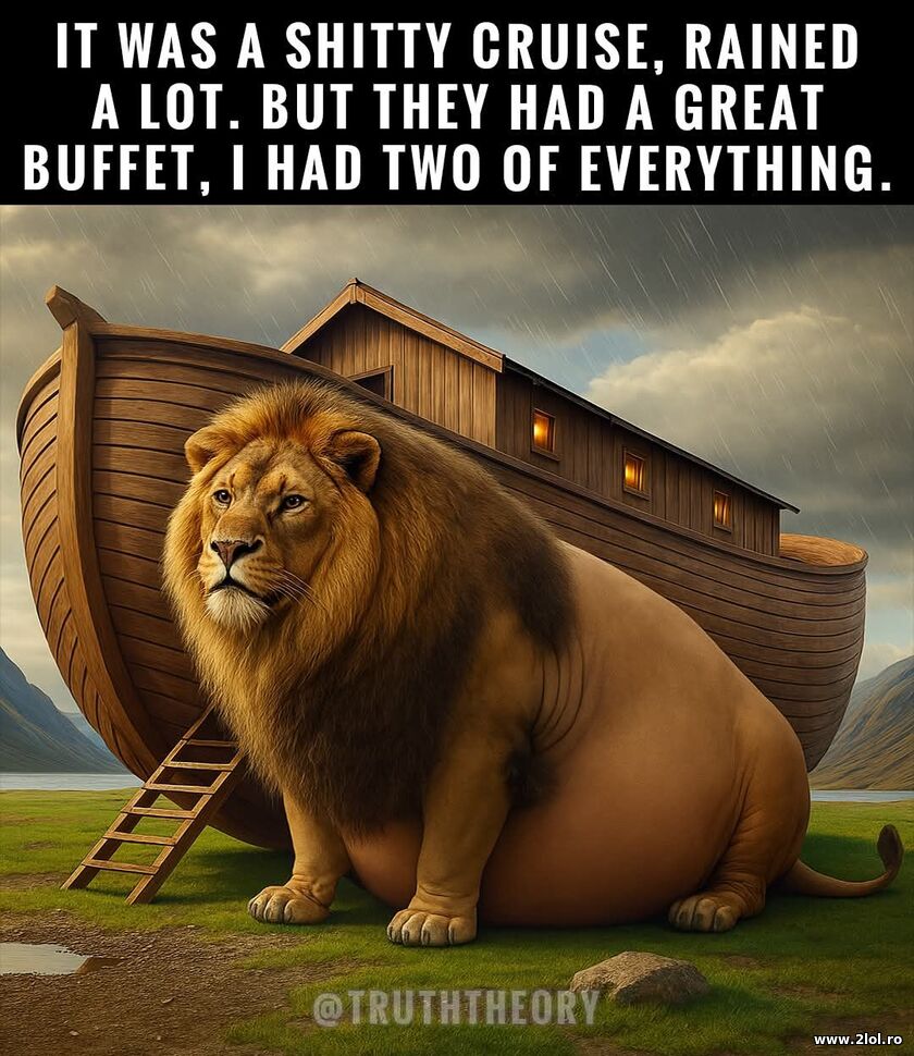 It was a shitty cruise | poze haioase