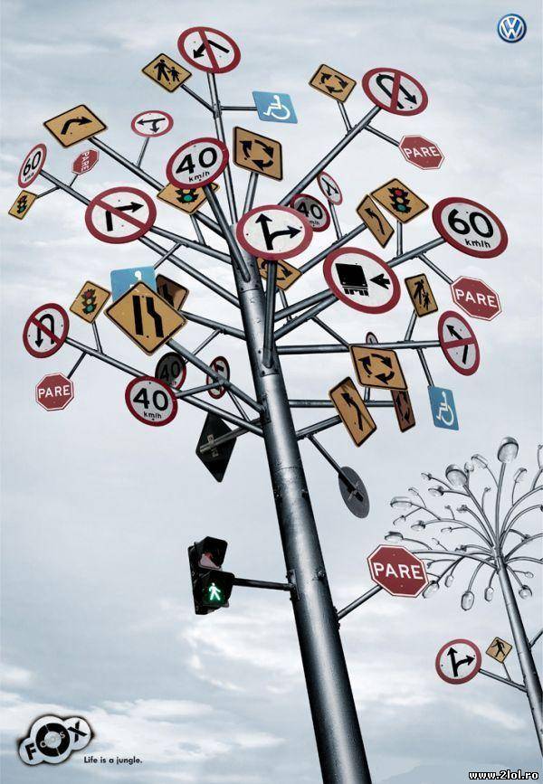 Cum văd cei fără permis indicatoarele | poze haioase