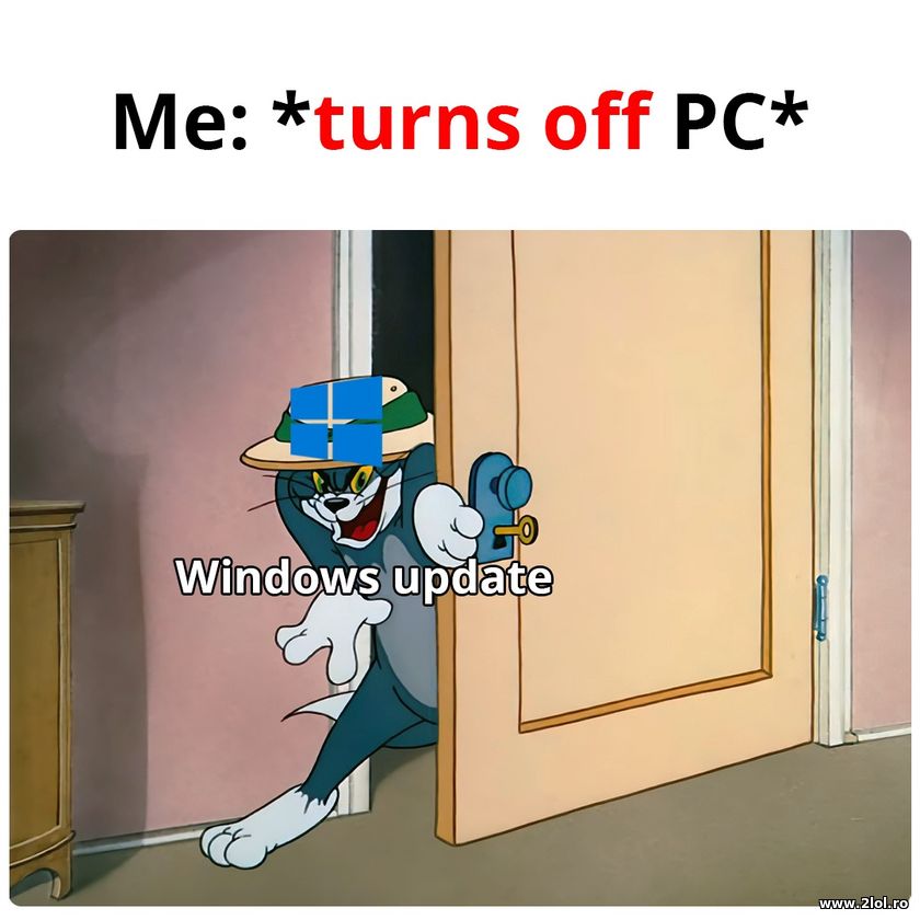 Windows update | poze haioase