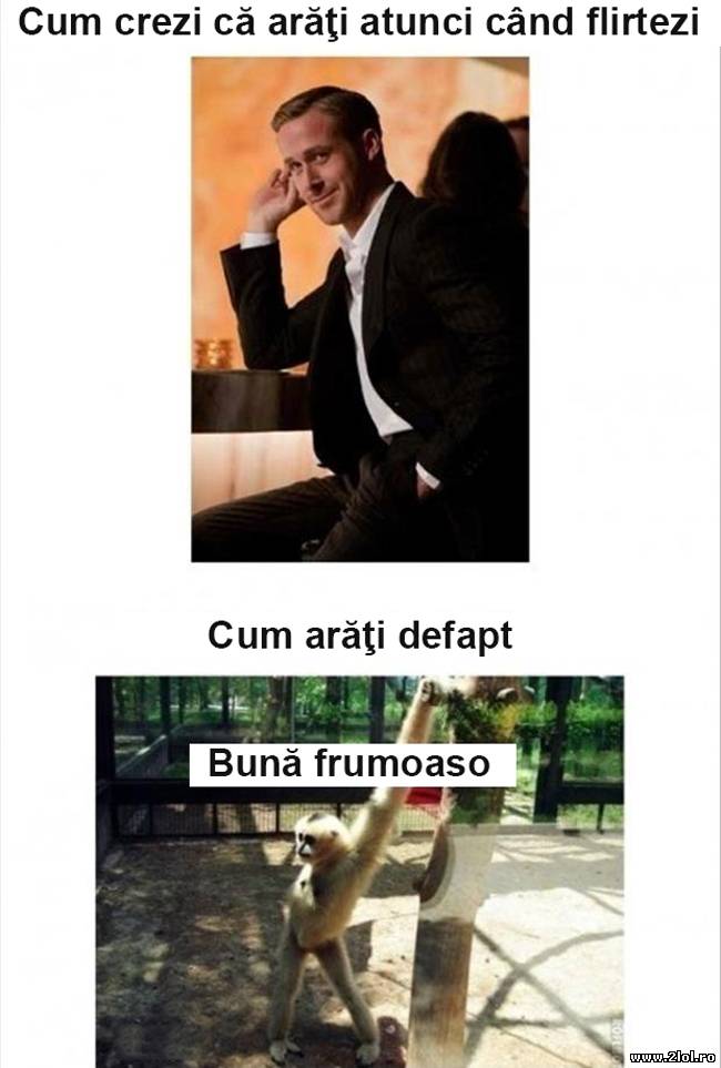 Cum crezi că arăţi atunci când flirtezi | poze haioase