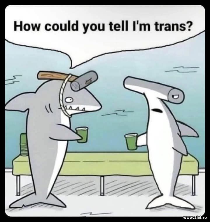 How could you tell I'm trans | poze haioase