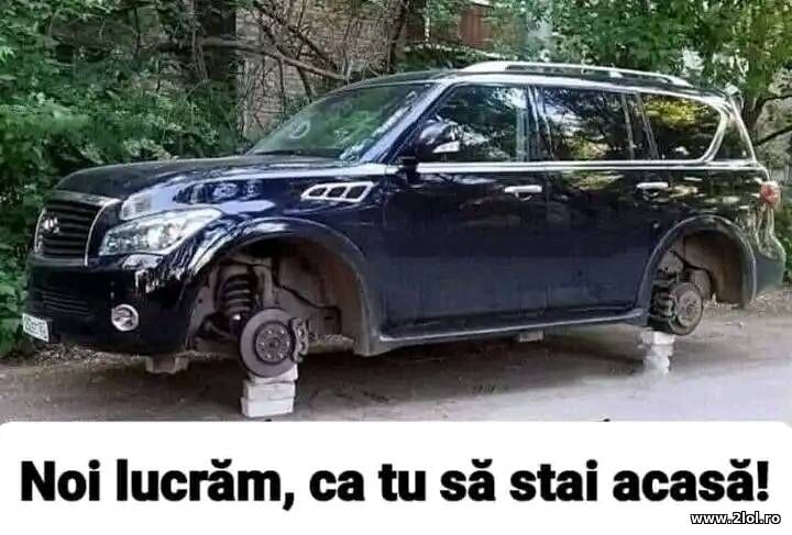Noi lucram, ca tu sa stai acasa | poze haioase