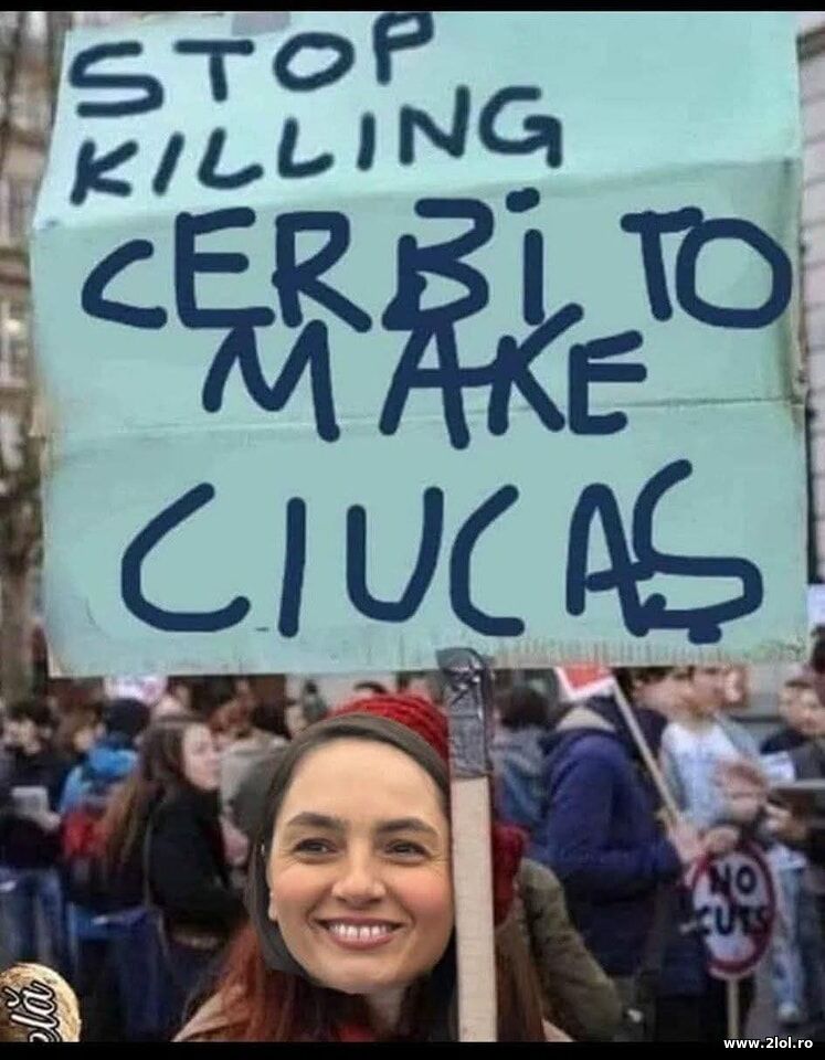 Anamaria Gavrila despre Ciucas | poze haioase