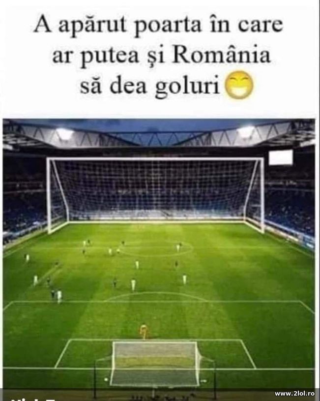 Poarta in care si nationala de fotbal da gol | poze haioase