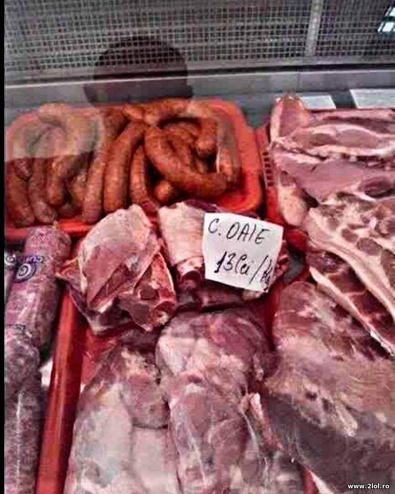 Care de oaie | poze haioase