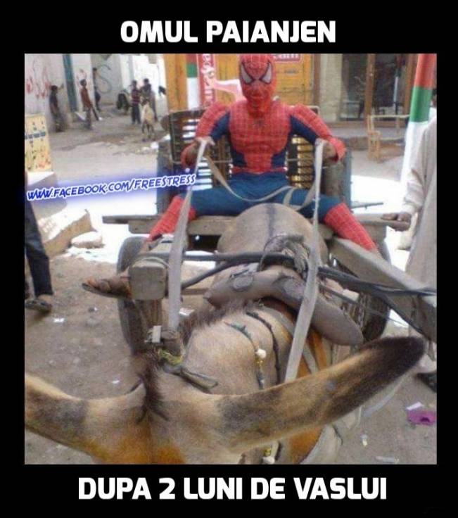 Omul Paianjen la Vaslui | poze haioase