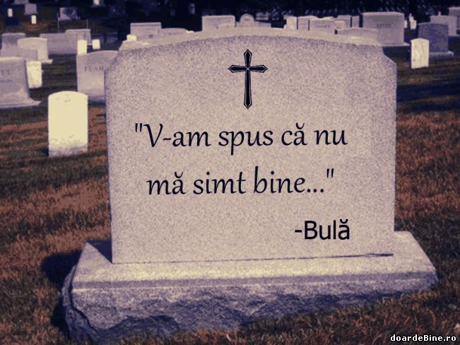 Și Bulă are dreptate câteodată | poze haioase