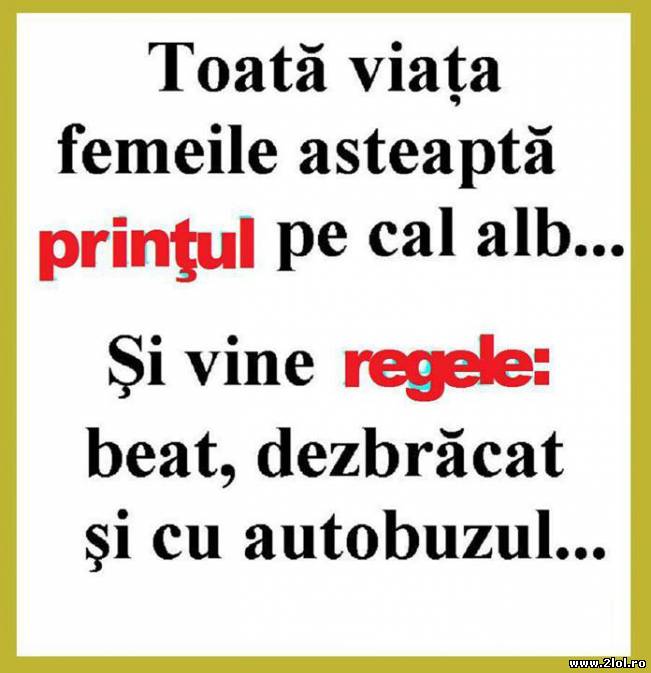 Toată viața femeile așteaptă prințul pe cal alb | poze haioase