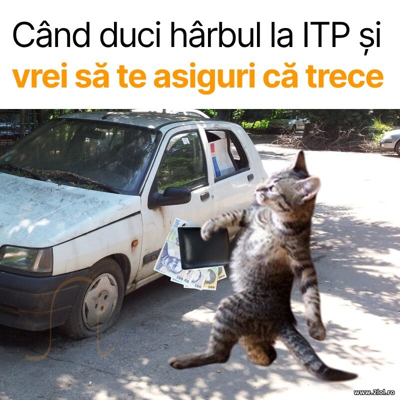 Cand duci harbul la ITP | poze haioase