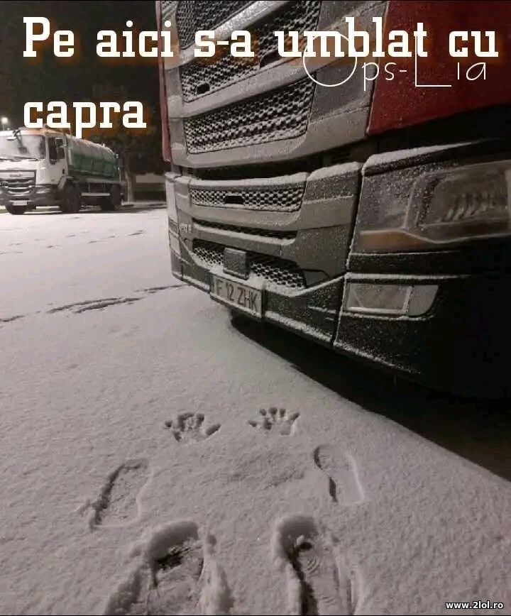 Pe aici s-a umblat cu capra | poze haioase