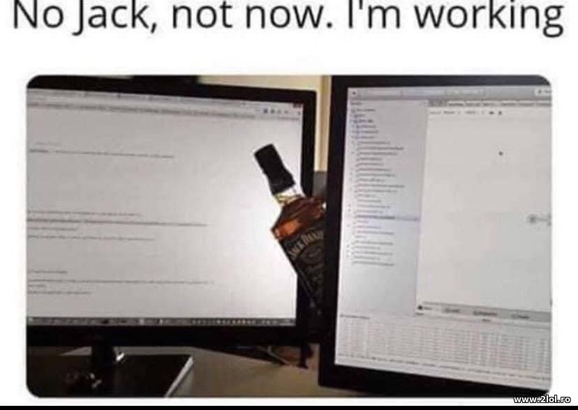 No Jack, not now. I'm working | poze haioase