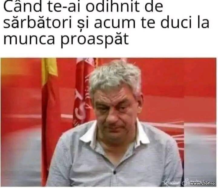 Cand te-ai odihnit de sarbatori | poze haioase