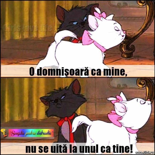 O domnișoară ca ea are pretenții | poze haioase