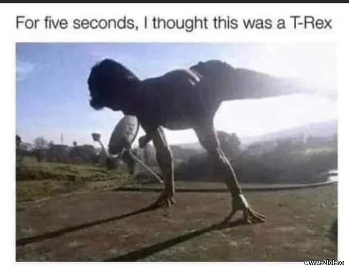 I thought this was a T-Rex | poze haioase