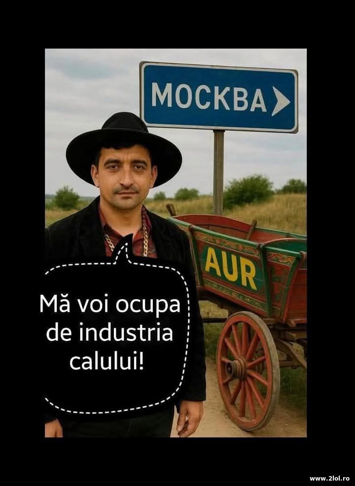 Industria calului | poze haioase