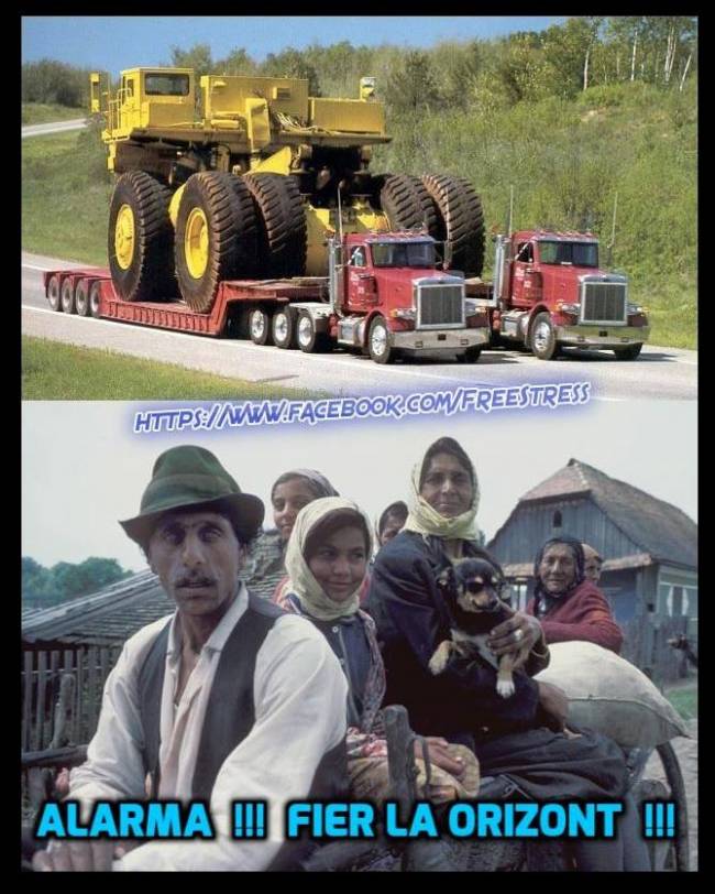 Fier la orizont ! | poze haioase