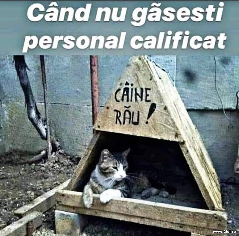 Personal necalificat | poze haioase