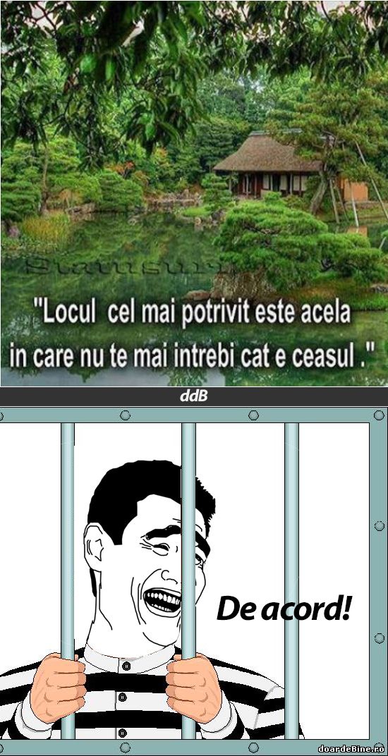 Locul cel mai potrivit | poze haioase