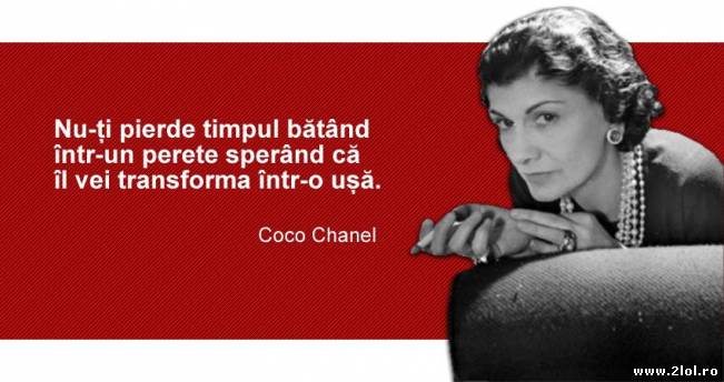 Nu-ţi pierde timpul bătând într-un perete | poze haioase