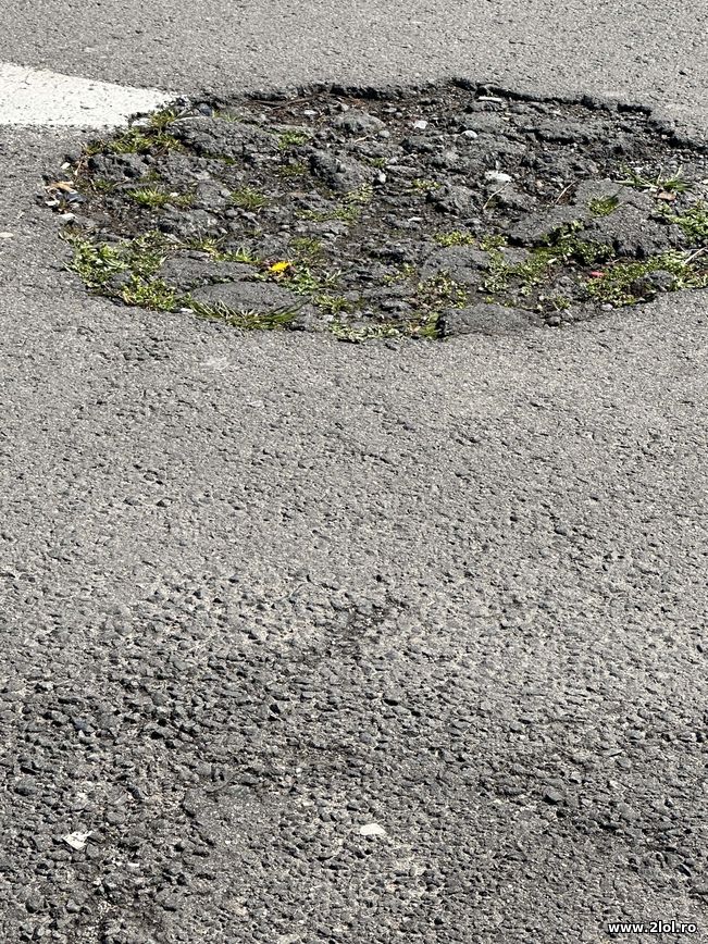 A venit Primavara in Romania | poze haioase