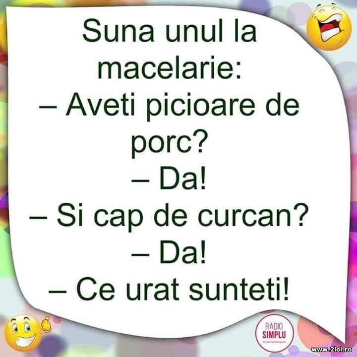 Suna la macelarie | poze haioase