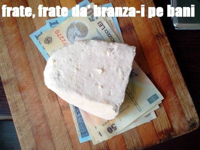 Brânza-i pe bani | poze haioase