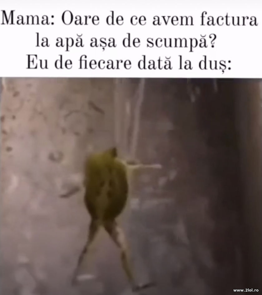 Oare de ce avem factura la apa asa scumpa? | poze haioase