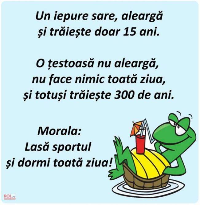 Întotdeauna învaţă de la cei mai buni | poze haioase