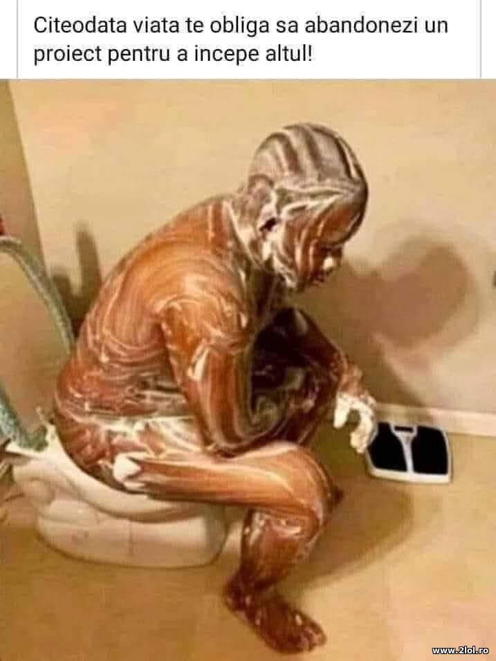 Cateodata | poze haioase