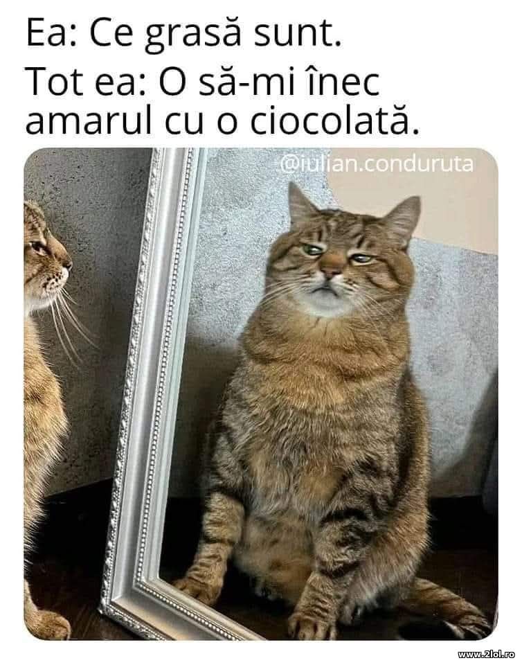 Ea: Ce grasa sunt | poze haioase