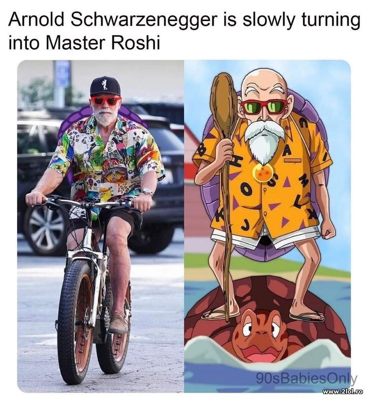Arnold Schwarzenegger is slowly turning into Roshi | poze haioase