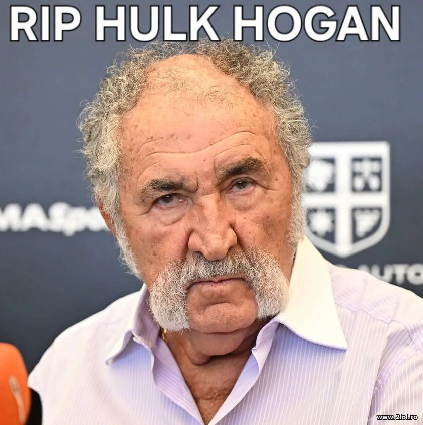 RIP Hulk Hogan | poze haioase