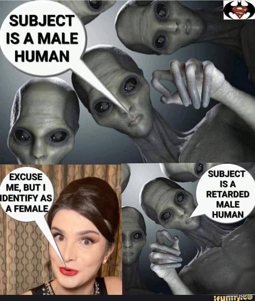 Subject is retarded | poze haioase