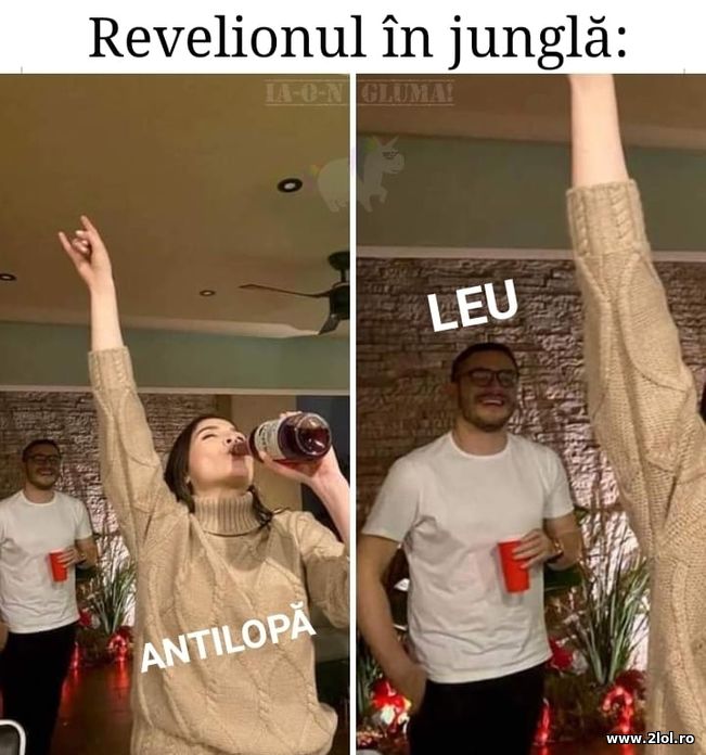 Revelionul in jungla | poze haioase