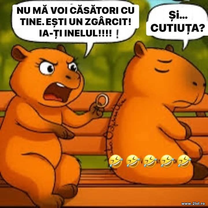 Un zgarcit | poze haioase