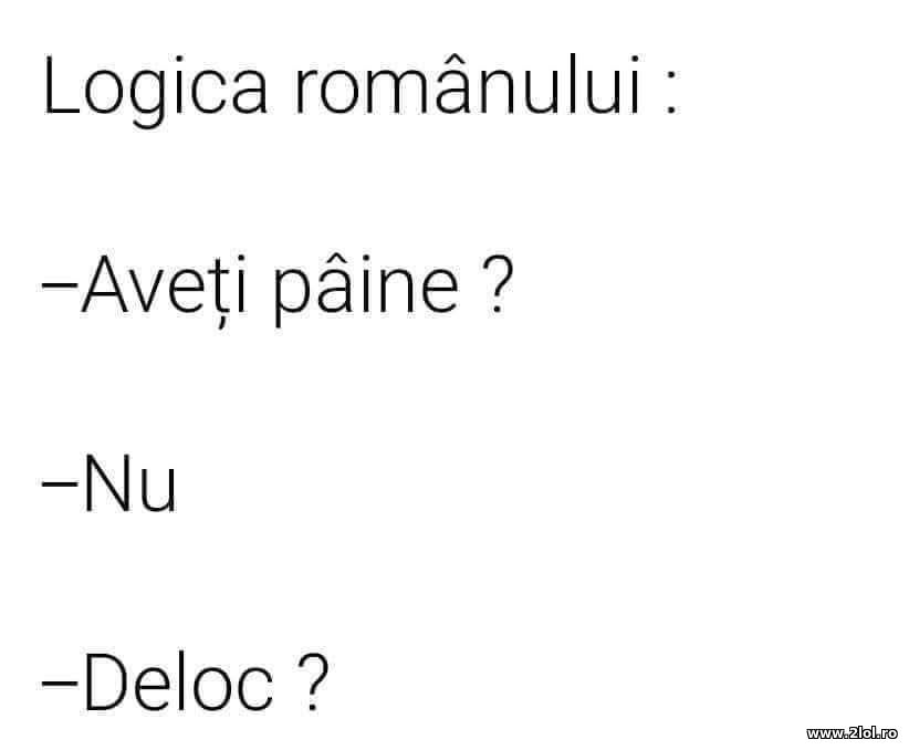 Logica romanului | poze haioase