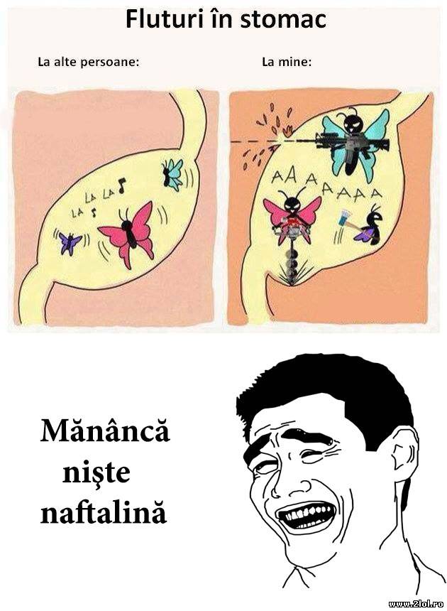 Când ai fluturi în stomac | poze haioase