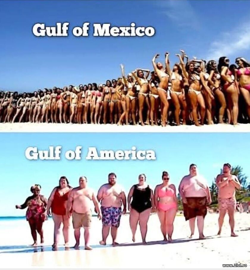 Gulf of Mexico vs Gulf of America | poze haioase