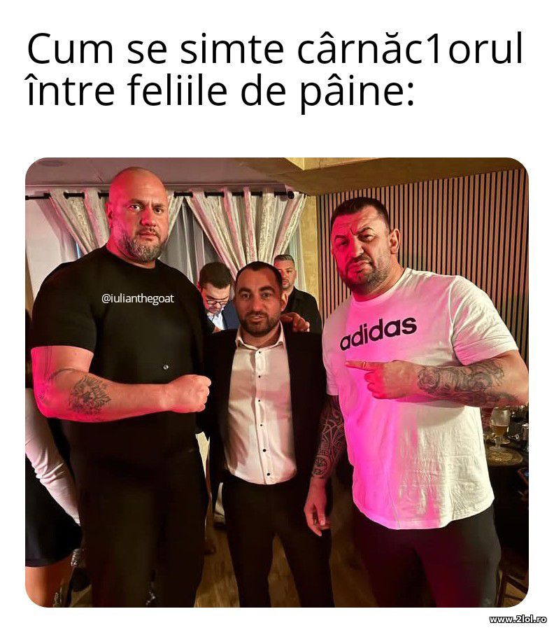 Cum se simte carnaciorul intre feliile de paine | poze haioase