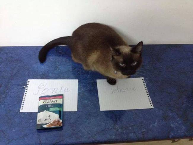 Nici animalele nu îl vor pe Ponta | poze haioase