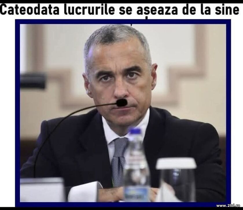 Cateodata | poze haioase