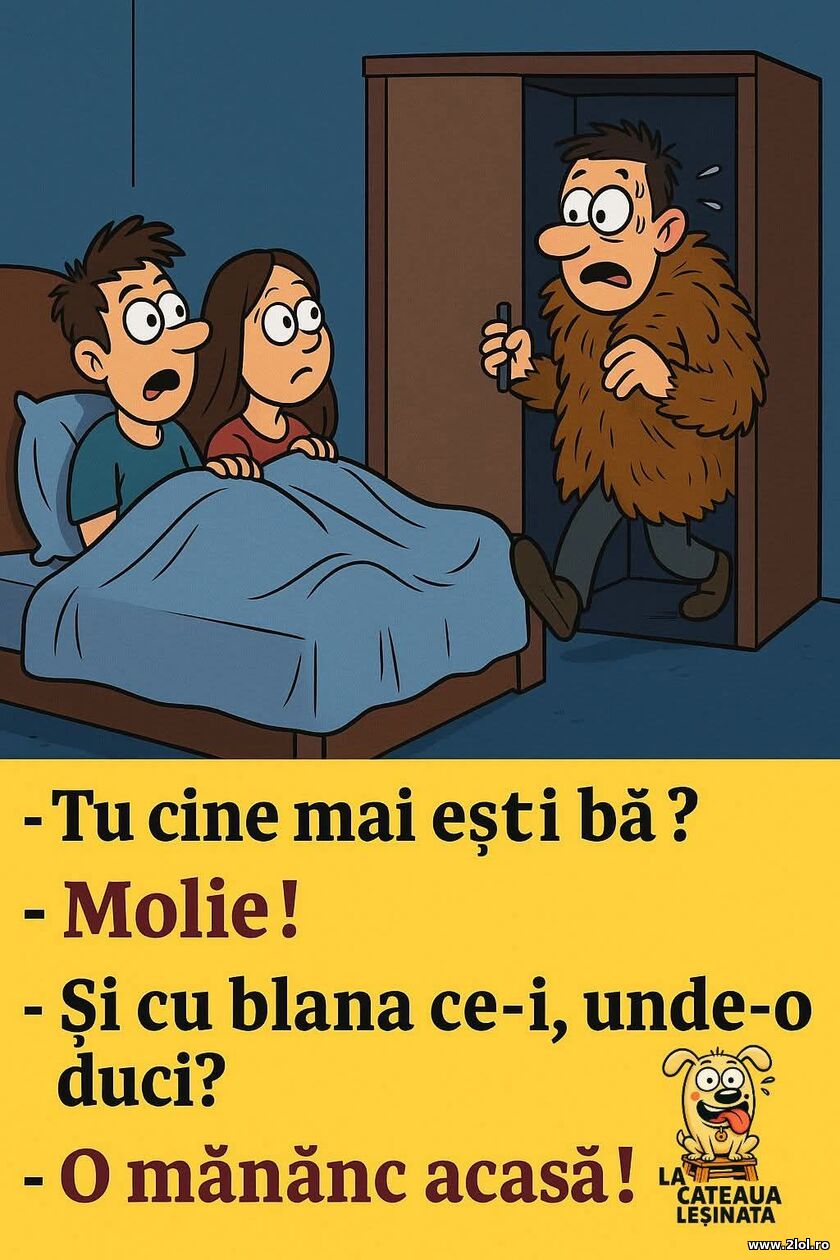 Tu cine mai esti? | poze haioase