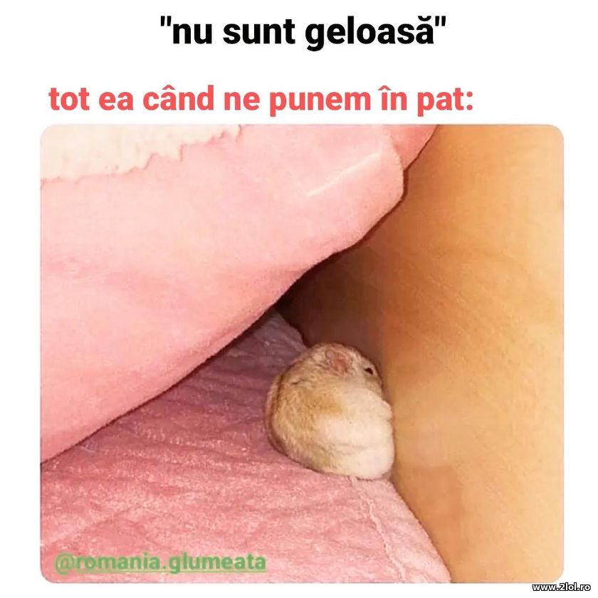 Nu sunt geloasa. Tot ea cand ne punem in pat | poze haioase