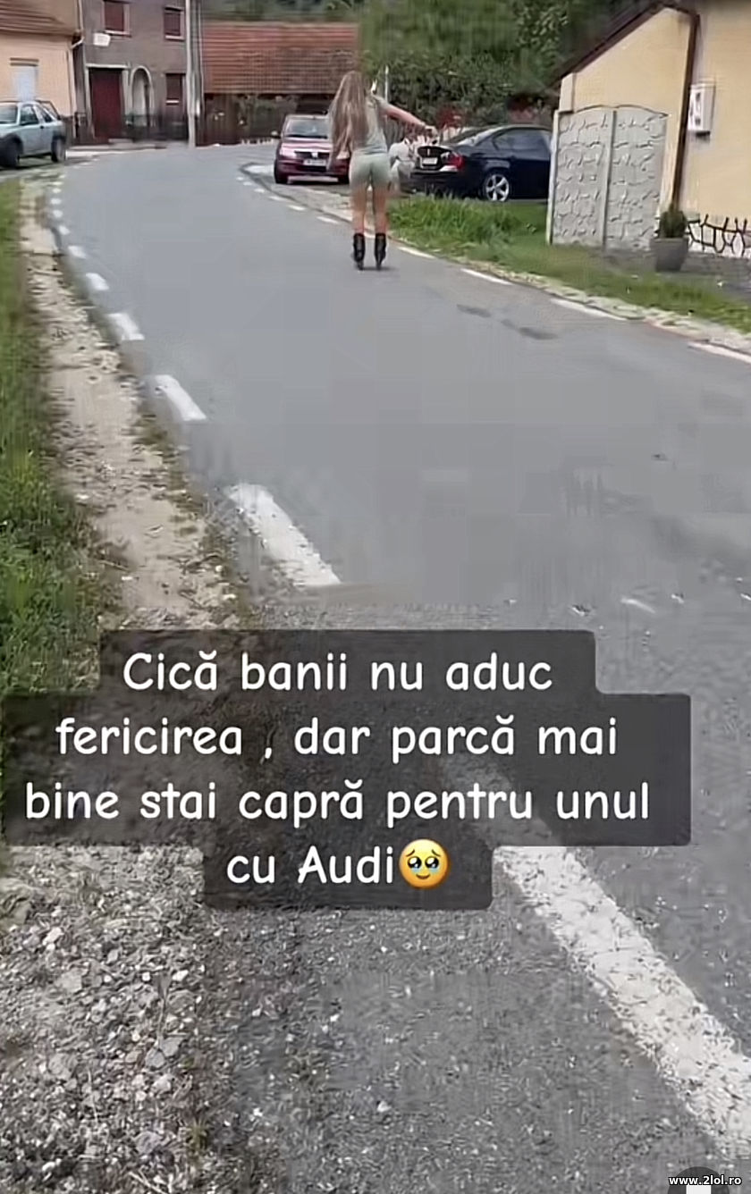Dar parca mai bine stai capra pentru unul cu Audi | poze haioase