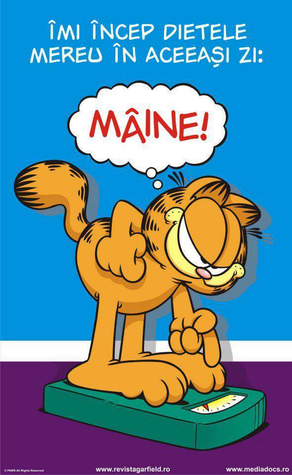 Îmi încep dietele mereu în aceeași zi | poze haioase